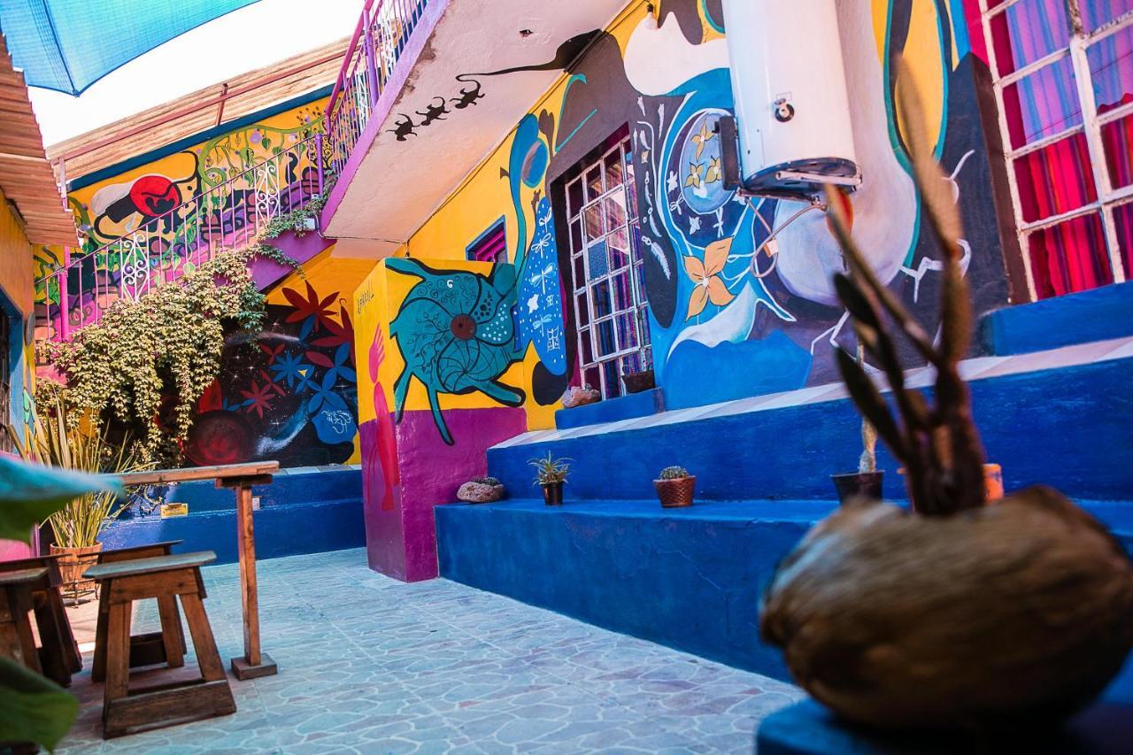 Hostal Chesal San Luis Potosí Exterior foto