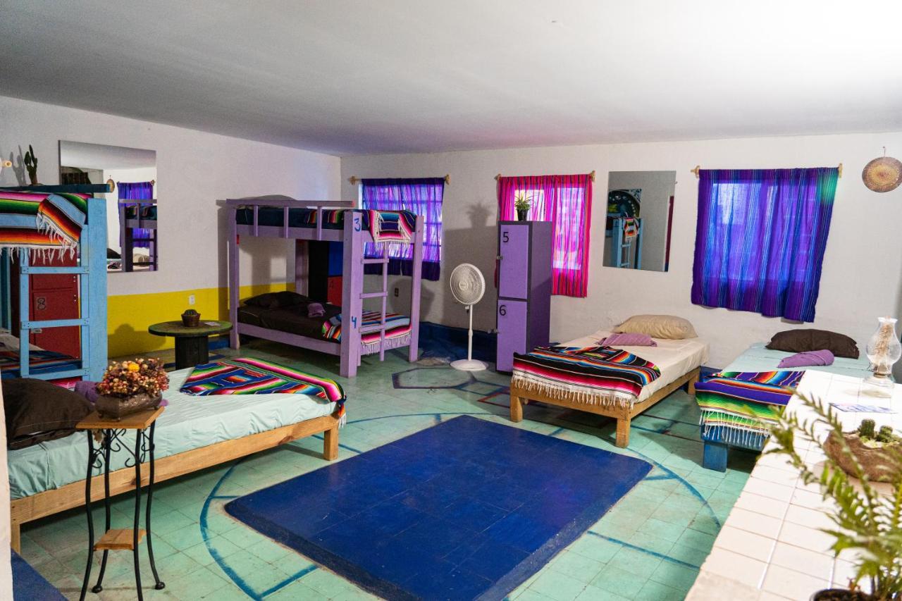 Hostal Chesal San Luis Potosí Exterior foto